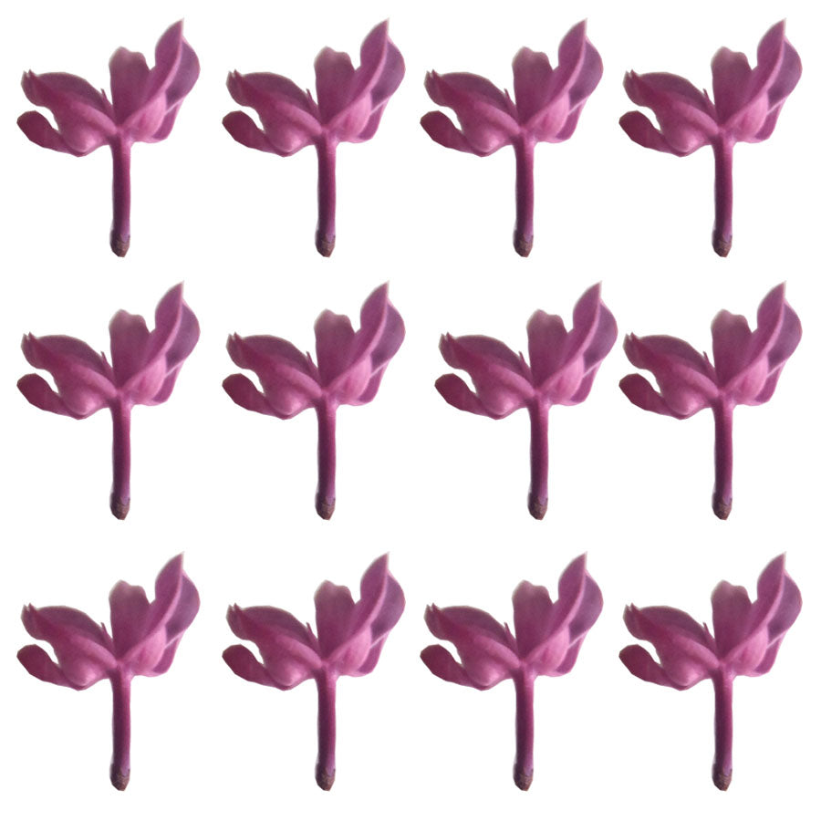 Lilac Micro Flowers Rosy Purple 55 pcs $11.75 CAD