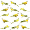 Linaria Micro Flowers Yellow 36 pcs $6.25 CAD