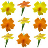 Marigold Tiny Micro Flowers Mix Flowers + Stems 36 pcs $8.25 CAD