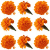 Marigold Small Flowers Orange Micro Petals 24 pcs $17.25 CAD