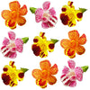 Monkey Flower Mix 30 pcs $12.25 CAD
