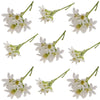 Peppergrass Sprigs White 40 pcs $7.25 CAD