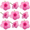 Seasonal Summer Phlox Flower Pink 50 pcs $11.25 CAD