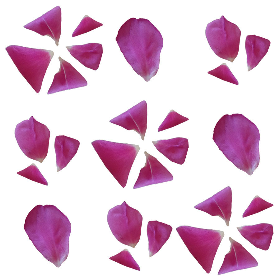 Rose Petals Various Sizes Micro Magenta 40 pcs $8.25 CAD