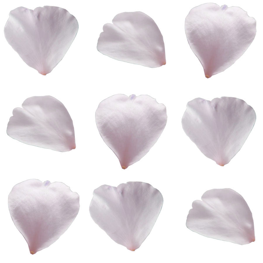 Rose Petals Micro Pale Pink 50 pcs $7.75 CAD