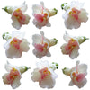 Snapdragon Pink Blooms 36 pcs $16.25 CAD