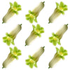 Seasonal Spring Solomon Seal Flowers 40 pcs $9.75 CAD