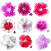 Sweet William Flowers Mix 50 pcs $20.95 CAD