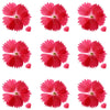 Sweet William Flowers Salmon Colour Pink 15 pcs $6.55 CAD