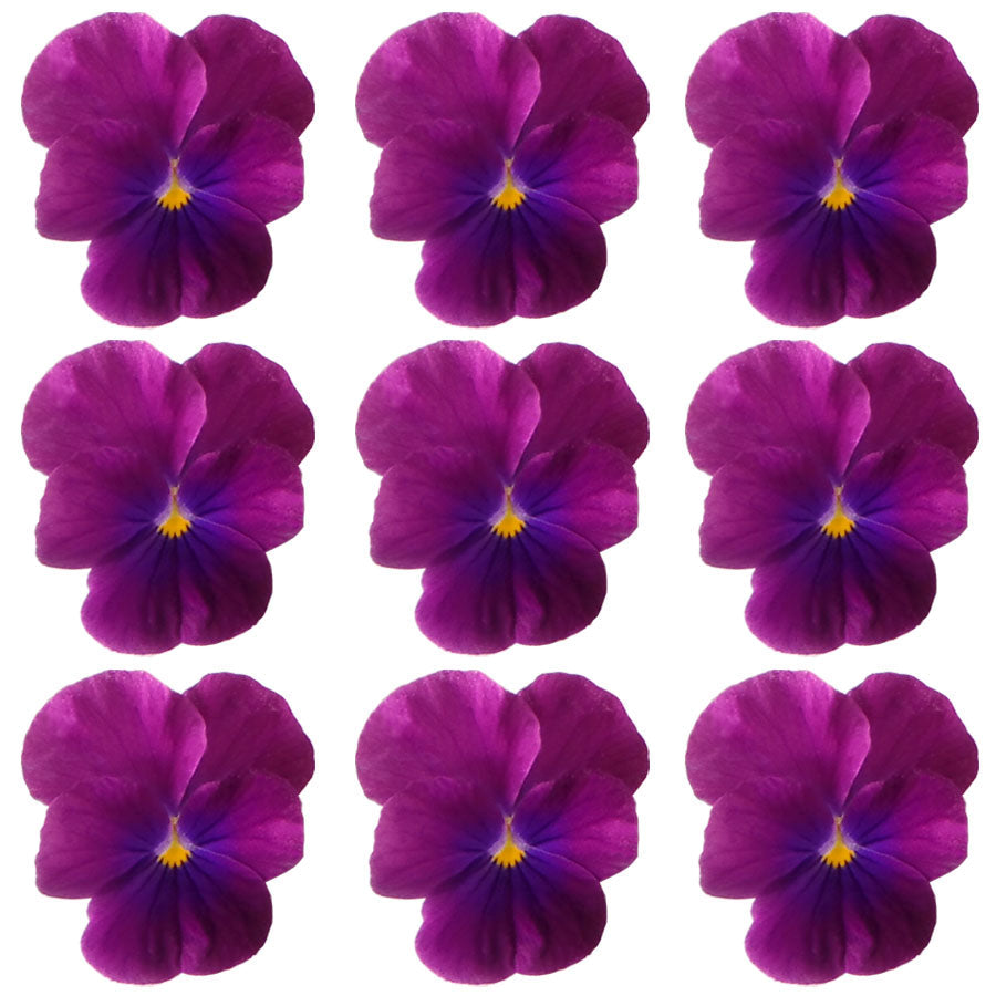 Violets Purple Flowers + Stems 15 pcs $5.25 CAD