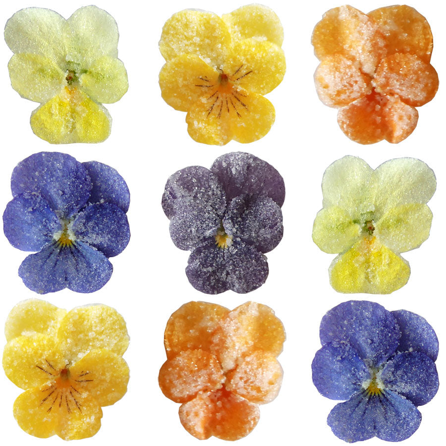 Crystallized Violets Rainbow Mix $33.25 CAD 20 pcs 1¼” - 1½” (32 - 38mm)
