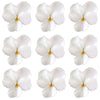 Violets White Flowers + Stems 15 pcs $5.25 CAD