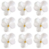 Violets White Flowers + Stems 24 pcs $8.00 CAD