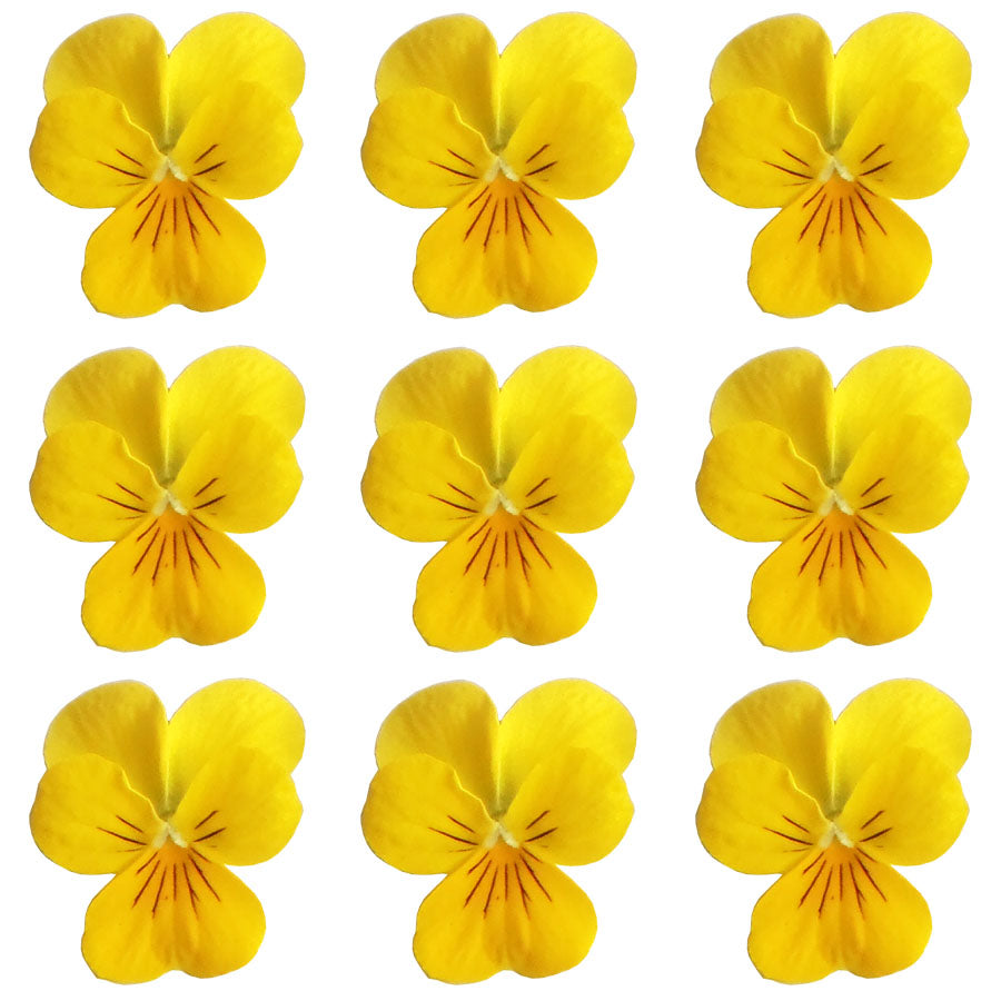 Violets Yellow Flowers + Stems 15 pcs $5.25 CAD